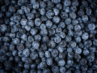 Fresh organic blueberries background. Close up top view.