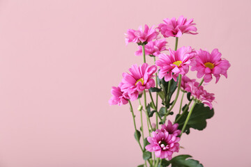 Bouquet of beautiful flowers on color background, closeup