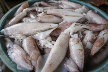 The squid caught by the fishermen are sold directly at the fish auction before being sold at the nearest market. The squid still look fresh and are grouped and sold at cheap prices with high nutrition