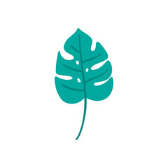 Monstera leaf hand-drawn vector illustration