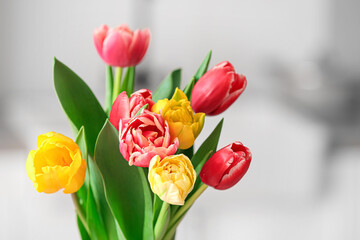Bouquet of tulips on light background, closeup