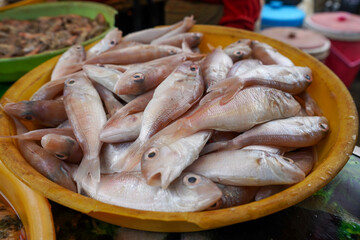 Freshwater fish and red sea fish sold in traditional markets.