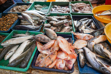 Colorful choice of fish at a market. Various fresh fish and seafood. Top down view on multiple rows of various raw freshly caught fish on ice for sale in Kudus, Central Java, Indonesia.