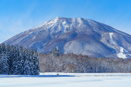 黒姫山」の写真素材 | 428件の無料イラスト画像 | Adobe Stock