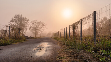 Calmness natural countryside walkway in the morning with sunshine and fog