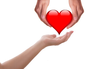 The hands of people hold a red heart .On white isolated background