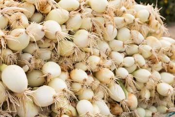 washed farm heads of onions