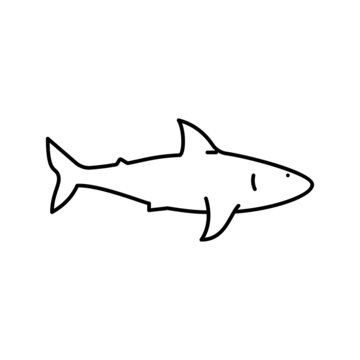 recommend clip art: shark ocean line icon vector illustration