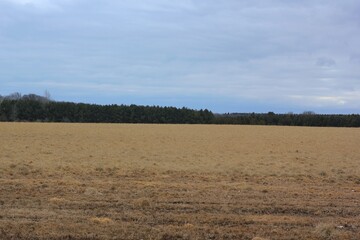 plowed field and sky