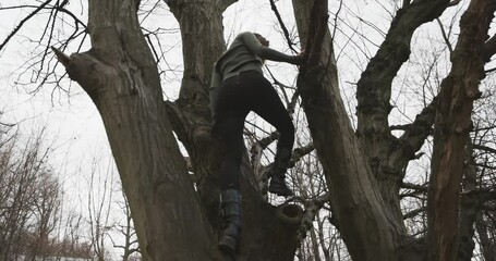 Camera following woman climbing on tree