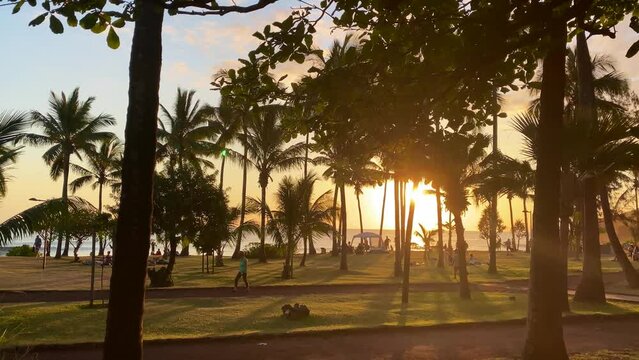 Sunset through palm tree and people walking on paradisiac beach in Reunion island