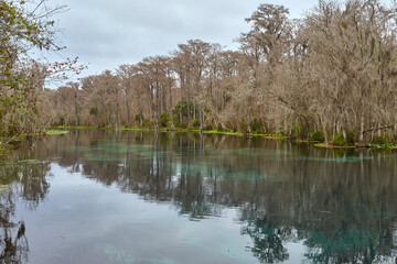 View of the Silver River from a hiking trail in Silver Springs State Park, located near Ocala, Florida