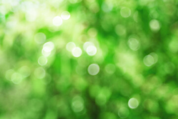 Obraz premium Defocused Lights and Sparkles, green Background