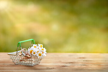 Shopping basket with a bouquet of daisies stands on a wooden table. In the background is a bright defocus lawn in bright sunlight. The concept of delivery, holiday, shopping