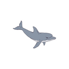 Dolphin playful aquatic animal contour line doodle vector Illustration.