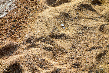 texture of sand