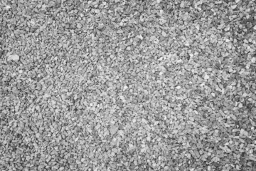 Floor gray concrete texture and abstract background.