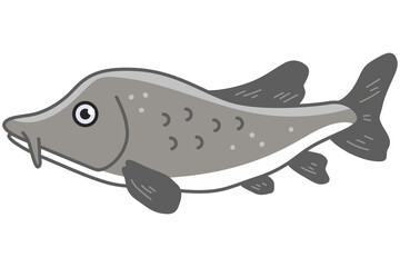 Sturgeon fish vector cartoon illustration isolated on a white background.
