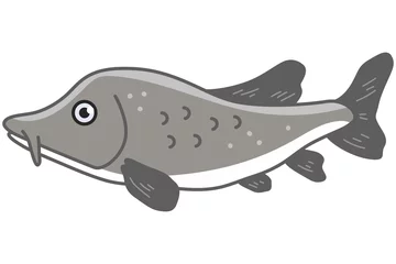 Fotobehang Sturgeon fish vector cartoon illustration isolated on a white background. © Roi_and_Roi