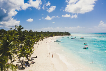 Tropical carribbean beach