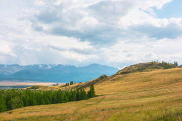 Fototapeta premium Dramatic alpine view from forest hills to high snow mountain range in sunlight during rain in changeable weather. Green forest and sunlit steppe against large snowy mountains under cloudy sky in rain.