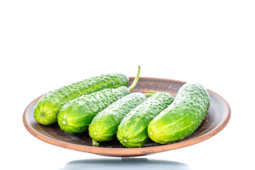 Several ripe green cucumbers on a clay dish, macro, isolated on a white background.