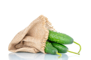 Three ripe green cucumbers with burlap sack, macro, isolated on white background.