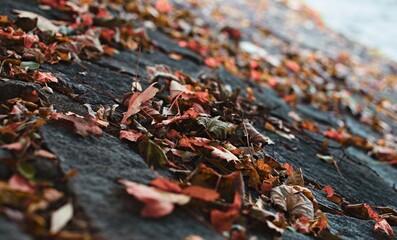 close up of a pile of red and green leaves