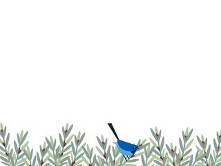 blue bird in the woods
