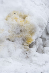 Dog's pee on the snow. 