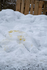 Dog's pee on the snow. 