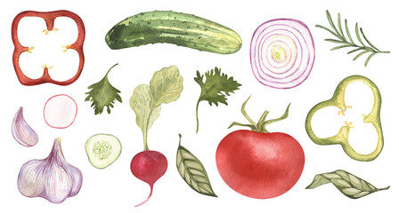 Eco food set menu background. Watercolor hand drawn vegetables, garlic, cucumber, salad, tomato, pepper, organic, avocado, leaves, onion. Isolated elements. For restaurant, kitchen, textile, fabric.