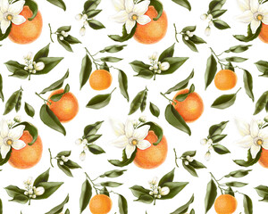 Citrus pattern. Floral pattern with clementine, tangerine, orange fruit and mandarin