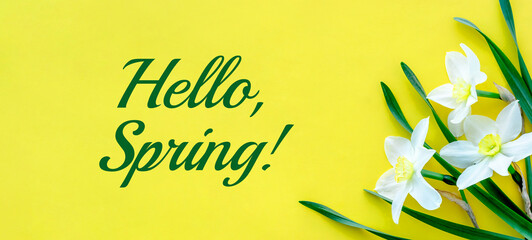 A bouquet of daffodils on a yellow background.The inscription 