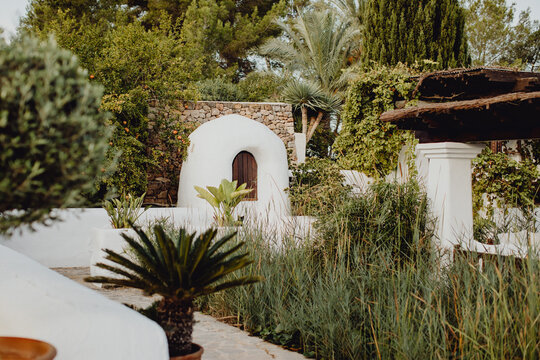 Lieu tropical &agrave; Ibiza