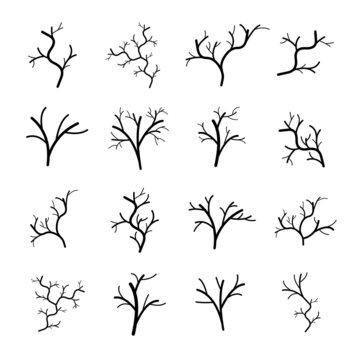tree branch icon abstract design