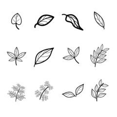 leaf icon design