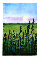 Watercolor illustration, summer evening in the field