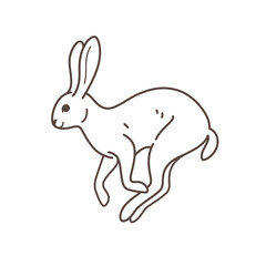 Jumping grey hare - cute animal print. Detailed drawing of animal. Vector illustration.