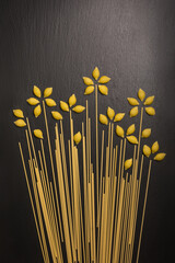 variety of uncooked pasta arranged as flowers, isolated on dark slate background, diet and food concept, top down view with copy space