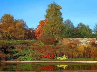 Obraz premium Beautiful Hoehenpark Killesberg in Stuttgart