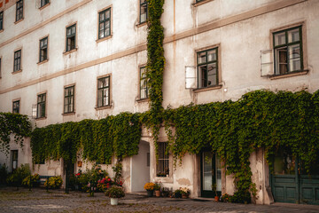 Fototapeta na wymiar courtyard in an old building in the city center of Vienna Austria