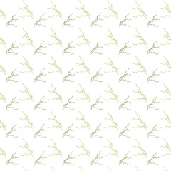 Seamless pattern with plants on the white background. Botanic ornament.
