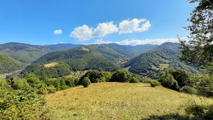 countryside scenery in mountains. beautiful landscape of carpathians with meadows rolling through forested hills in the day light. wonderful weather in springtime