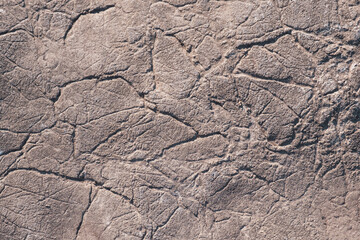 gray texture in cracks and bumps