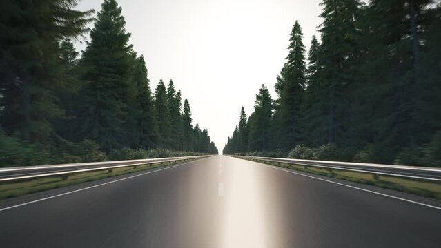 Driving along the forest, timelapse. Day to night at the driving. Car driving on the road along the forest