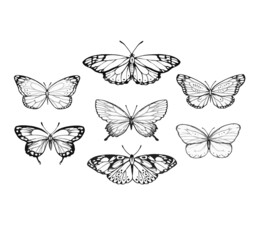 Assorted Butterfly Drawing Outline Aesthetic, Butterfly Vector Unique Pattern, Sketch Line art Hand Drawn