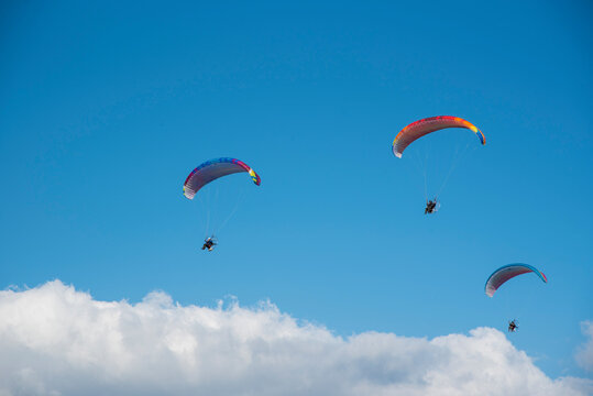 Motorized paragliders flying over the coast
