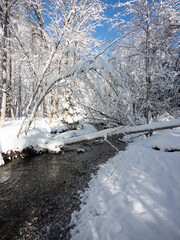 Fototapeta premium A small creek in a snowy forest