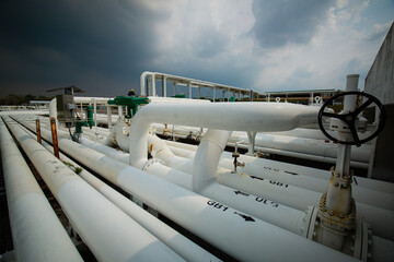 The valve of steel long pipelinel process refinery oil and gas